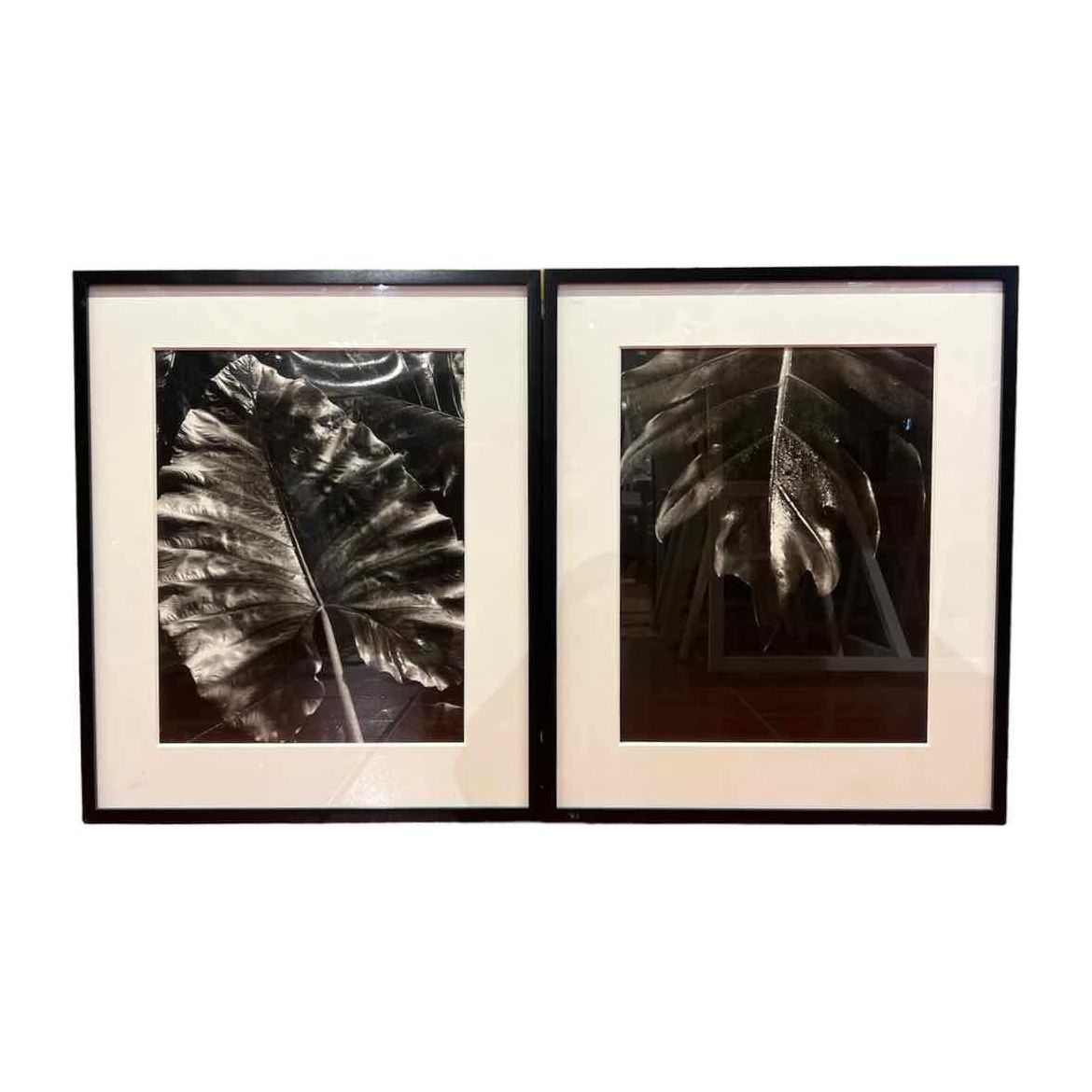 Pair of Black and White Leaf Print Artwork - colletteconsignment.com